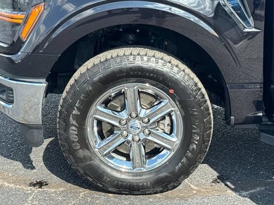 2025 Ford F-150 XLT
