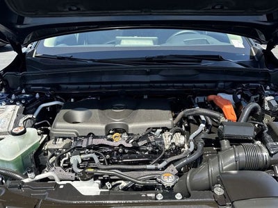 2025 Mazda Mazda CX-50 Hybrid Premium Plus Package
